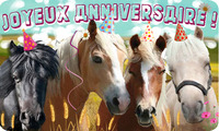Viens fêter ton anniversaire avec les poneys!